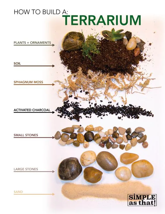 Bình terrarium cây xanh được hoàn thiện tại workshop